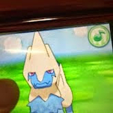 パワーパワー犬