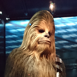 キャメルライダー