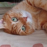 アトランティック