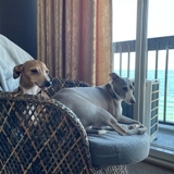 ぶらっくきてぃ