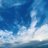 マッシュぽてと