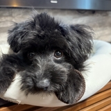 ミスターマジン