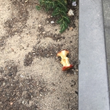 喉ごし皿うどん