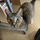 ゆき@おうちの中の人