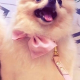 ジョルジュ早乙女