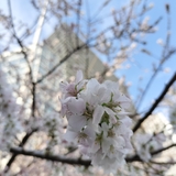 ハッピースマイル