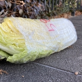 二言目にはパスタ