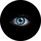 物語の臨界を穿つ者｜映画観測官