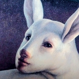 ノーキッキング