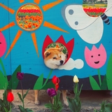 サブカルくそ女