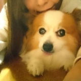 あっちゃんジェリー