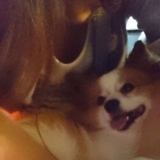 あっちゃんジェリー