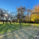 いま〜じゅ太郎