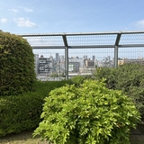 ケンドー鹿児島