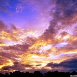 マグネットぜんざい