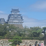 トラトラの虎オタ