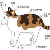 かーぼうい