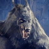 テクノライジング・ライカン・T