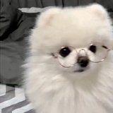 ﾟ*.·̩͙꒰ঌtata໒꒱·̩͙.* ﾟ