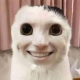 コウジ・タドコロ