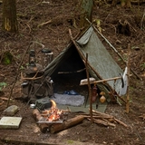 パパイヤフジモト