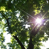 レビューしてみます|･ᴗ･ )੭⁾⁾