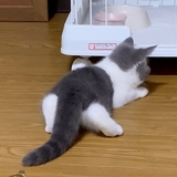 ななななななな