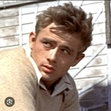 ただの映画好き