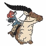 あしたかとやっくる