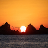 ふるふるみつる