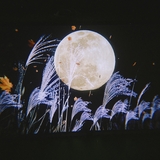 肉食うヴィーガン