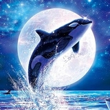 クリスちゃん脱線