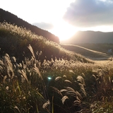 トラッキーランディ