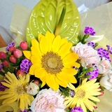 いぬかわいい。