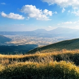 ショウジキモノ