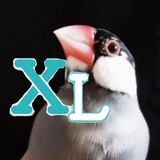 XL文鳥