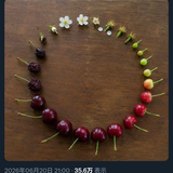 たまたむ