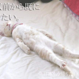 黒子