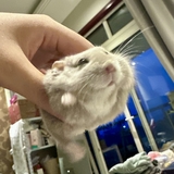 ♡ࠔ♡