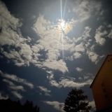 ギョロ目ちゃん