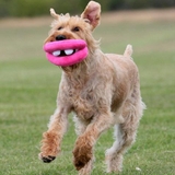 チアゴまておチロ