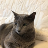 ＼(^o^)／映画三昧の日々