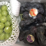 おかやまぶどう