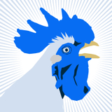 寝不足の青鶏（せいけい）