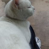 マダマダサンデー