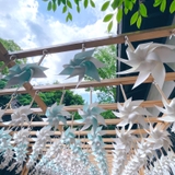 たくさんのそら