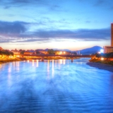 しろいろねことら