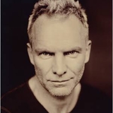sting