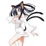 黒歌(CV:高橋未奈美)