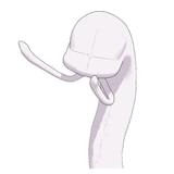 「シドニアの騎士」の3Dモデルが無料配布! 同時に動画コンテストも開催決定!